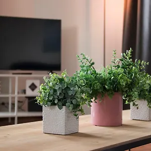  Apartment Smartflats - High Street Belgium